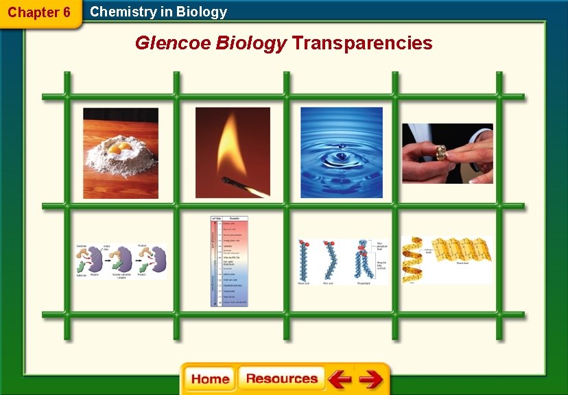 Chapter 6 Chemistry in Biology Glencoe Biology Transparencies 