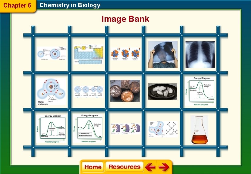 Chapter 6 Chemistry in Biology Image Bank 