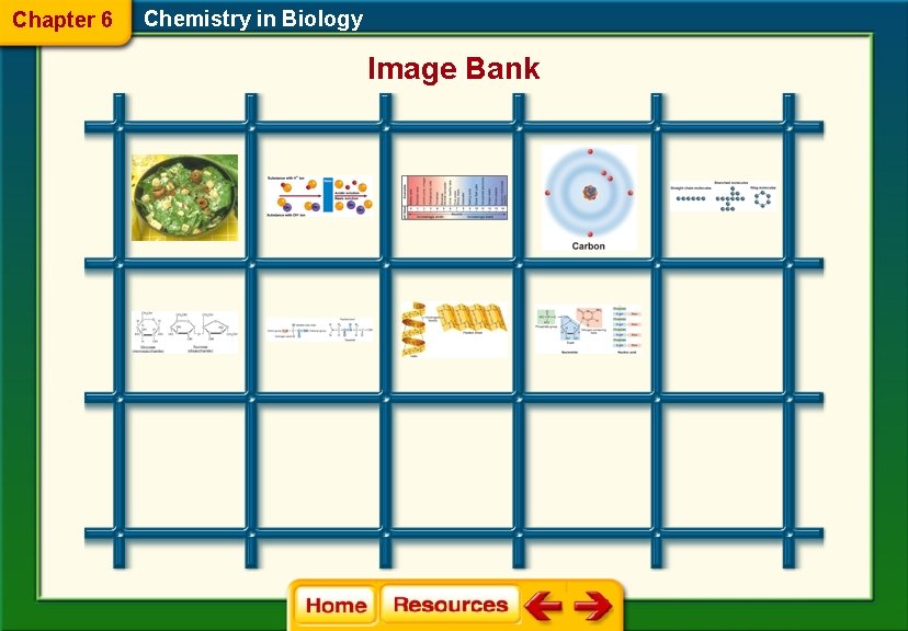 Chapter 6 Chemistry in Biology Image Bank 