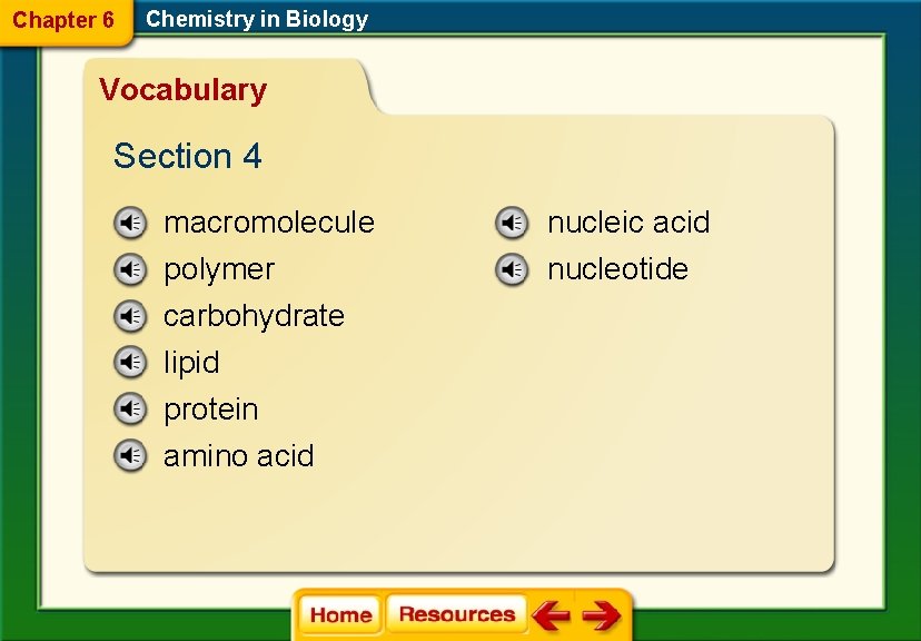 Chapter 6 Chemistry in Biology Vocabulary Section 4 macromolecule nucleic acid polymer carbohydrate lipid