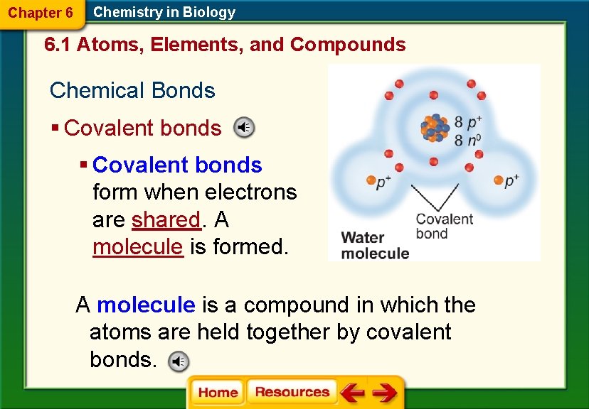 Chapter 6 Chemistry in Biology 6. 1 Atoms, Elements, and Compounds Chemical Bonds §