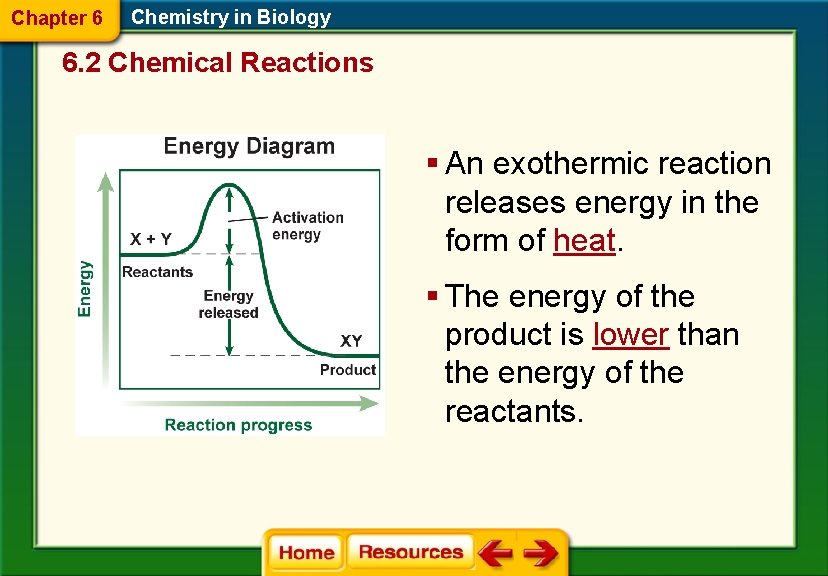 Chapter 6 Chemistry in Biology 6. 2 Chemical Reactions § An exothermic reaction releases