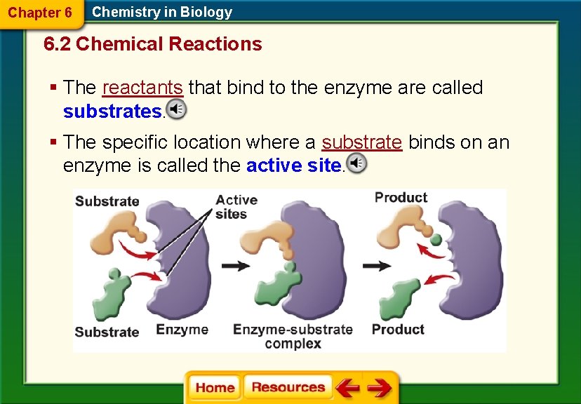 Chapter 6 Chemistry in Biology 6. 2 Chemical Reactions § The reactants that bind