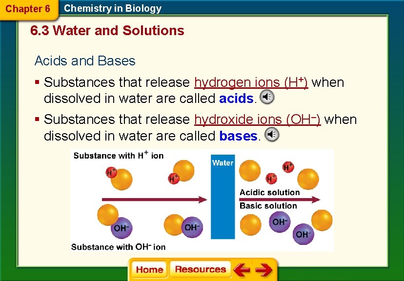 Chapter 6 Chemistry in Biology 6. 3 Water and Solutions Acids and Bases §