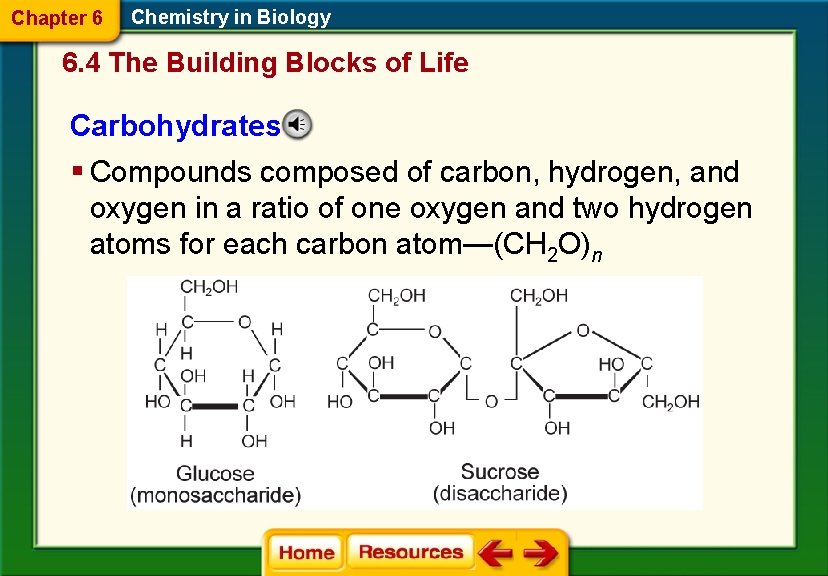 Chapter 6 Chemistry in Biology 6. 4 The Building Blocks of Life Carbohydrates §