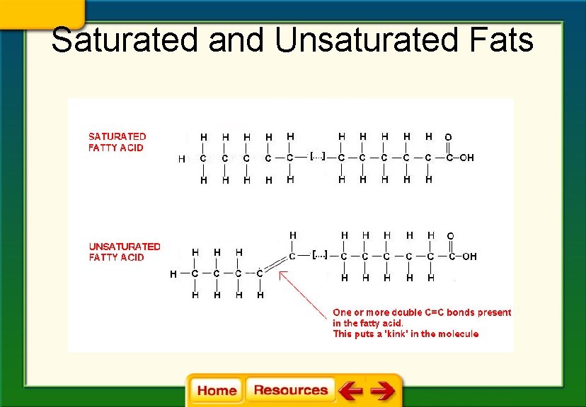 Saturated and Unsaturated Fats 