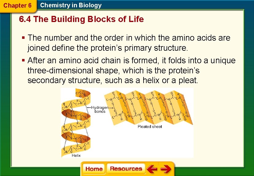 Chapter 6 Chemistry in Biology 6. 4 The Building Blocks of Life § The