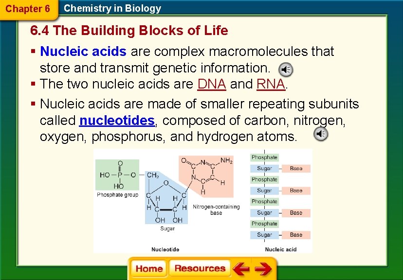 Chapter 6 Chemistry in Biology 6. 4 The Building Blocks of Life § Nucleic