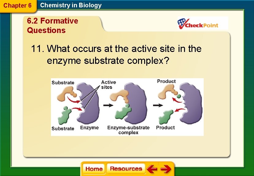 Chapter 6 Chemistry in Biology 6. 2 Formative Questions 11. What occurs at the