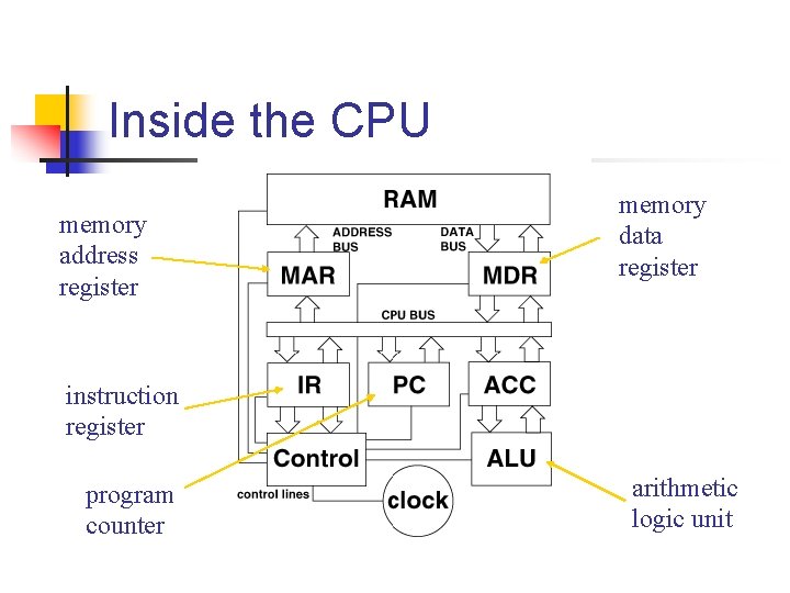 Inside the CPU memory address register memory data register instruction register program counter arithmetic Inside the CPU memory address register memory data register instruction register program counter arithmetic