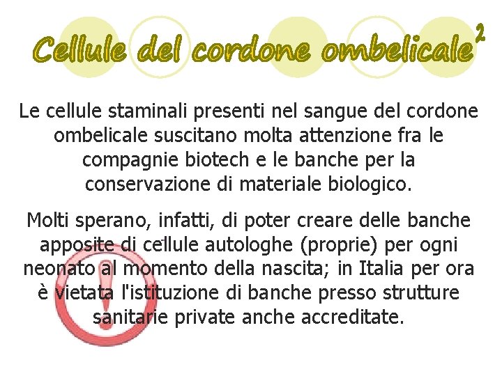 Le cellule staminali presenti nel sangue del cordone ombelicale suscitano molta attenzione fra le