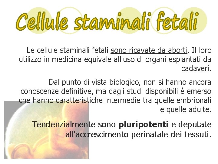 Le cellule staminali fetali sono ricavate da aborti. Il loro utilizzo in medicina equivale