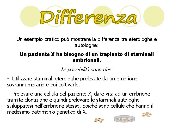 Un esempio pratico può mostrare la differenza tra eterologhe e autologhe: Un paziente X