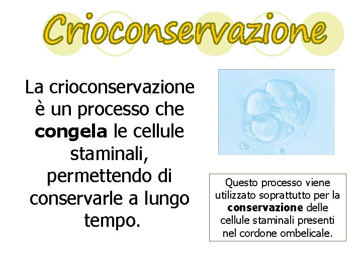 La crioconservazione è un processo che congela le cellule staminali, permettendo di conservarle a