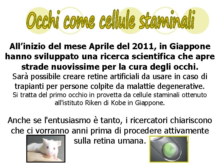 All’inizio del mese Aprile del 2011, in Giappone hanno sviluppato una ricerca scientifica che