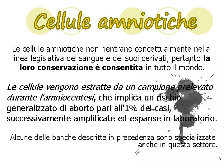 Le cellule amniotiche non rientrano concettualmente nella linea legislativa del sangue e dei suoi