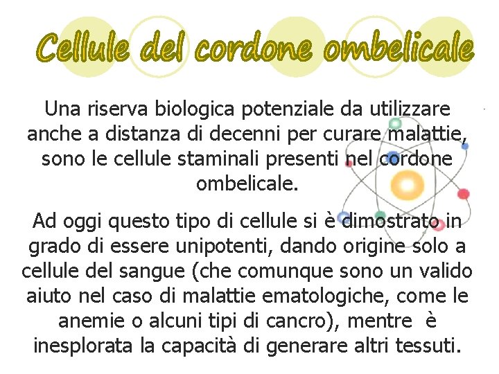 Una riserva biologica potenziale da utilizzare anche a distanza di decenni per curare malattie,