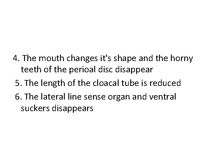4. The mouth changes it's shape and the horny teeth of the perioal disc