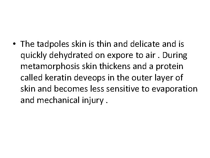  • The tadpoles skin is thin and delicate and is quickly dehydrated on