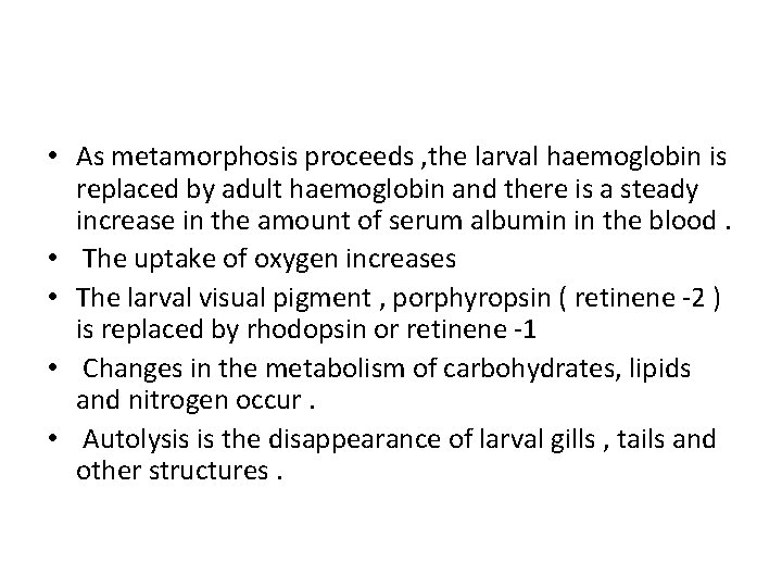  • As metamorphosis proceeds , the larval haemoglobin is replaced by adult haemoglobin