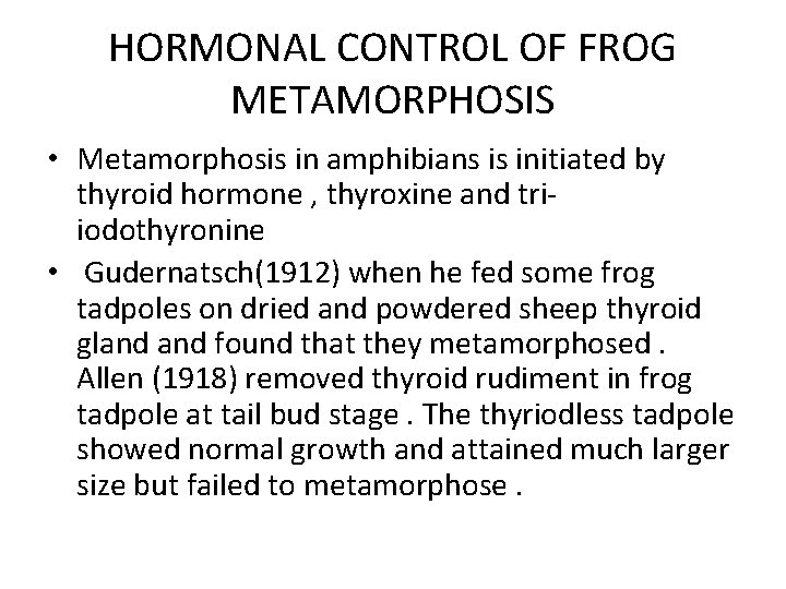 HORMONAL CONTROL OF FROG METAMORPHOSIS • Metamorphosis in amphibians is initiated by thyroid hormone