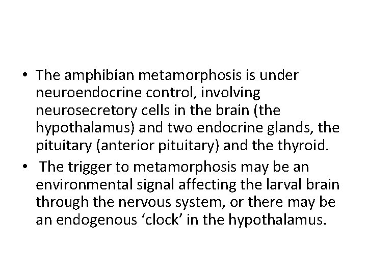 • The amphibian metamorphosis is under neuroendocrine control, involving neurosecretory cells in the