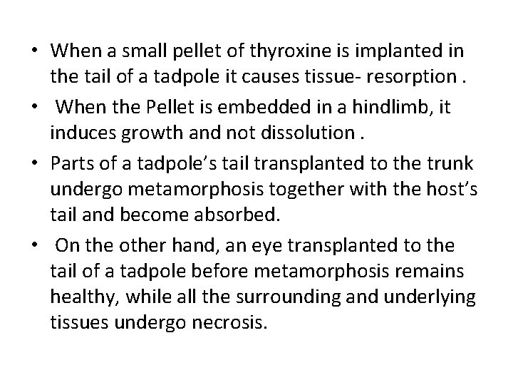  • When a small pellet of thyroxine is implanted in the tail of