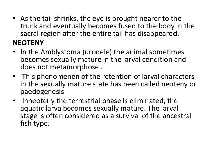  • As the tail shrinks, the eye is brought nearer to the trunk