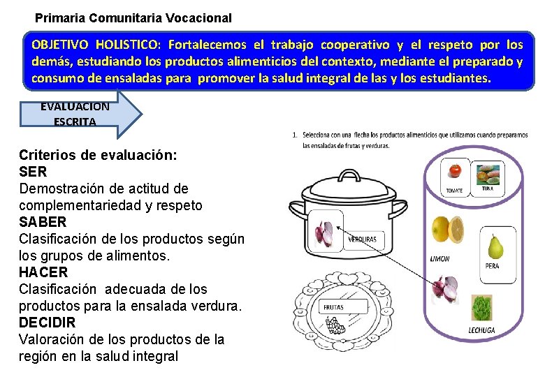Primaria Comunitaria Vocacional OBJETIVO HOLISTICO: Fortalecemos el trabajo cooperativo y el respeto por los