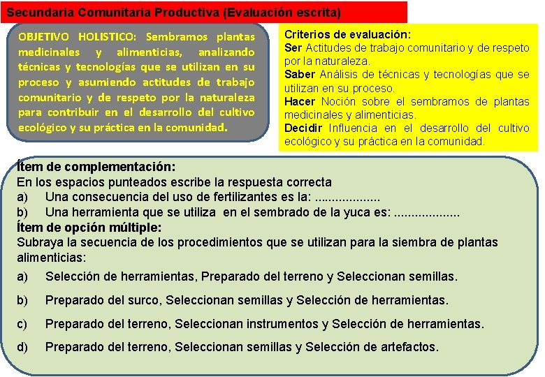 Secundaria Comunitaria Productiva (Evaluación escrita) OBJETIVO HOLISTICO: Sembramos plantas medicinales y alimenticias, analizando técnicas