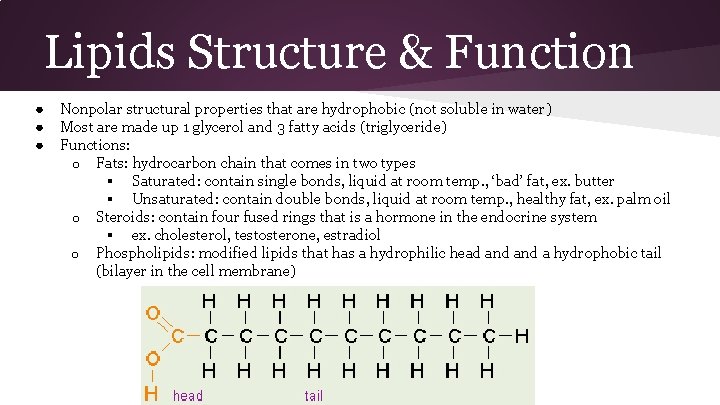 Lipids Structure & Function ● ● ● Nonpolar structural properties that are hydrophobic (not