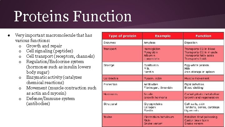 Proteins Function ● Very important macromolecule that has various functions: o Growth and repair