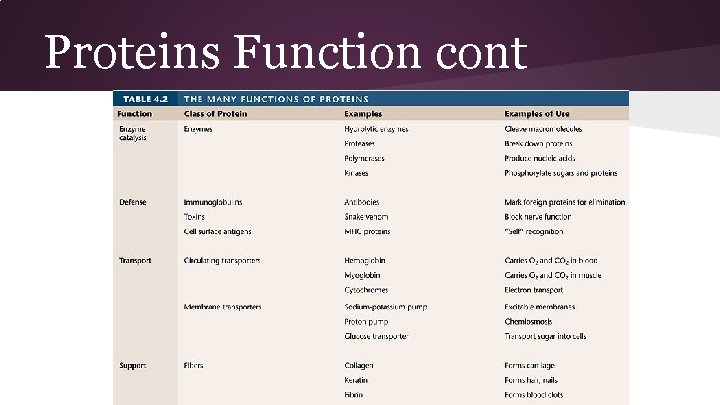 Proteins Function cont 