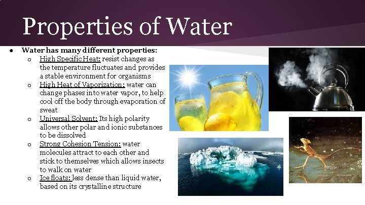 Properties of Water ● Water has many different properties: o High Specific Heat: resist