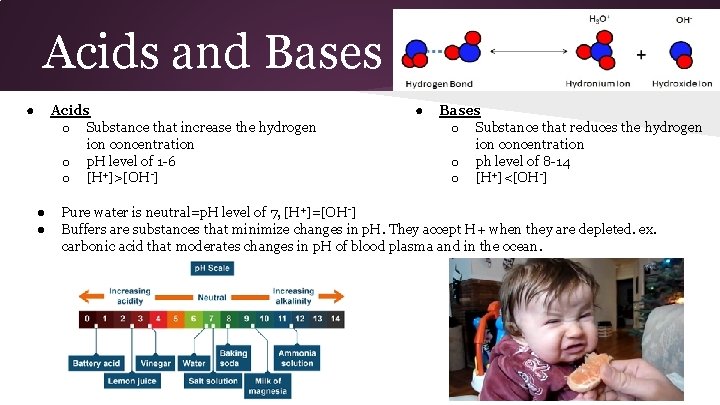 Acids and Bases ● Acids o Substance that increase the hydrogen ion concentration o