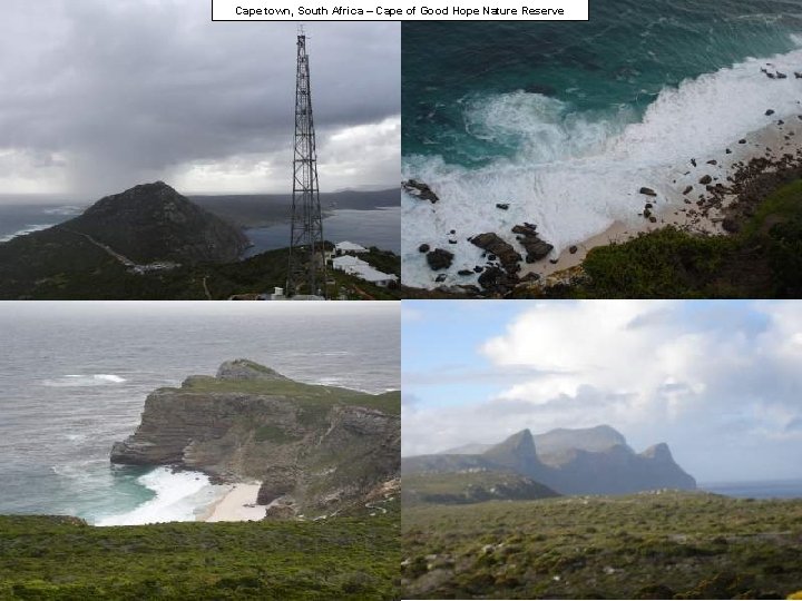 Cape town, South Africa – Cape of Good Hope Nature Reserve 