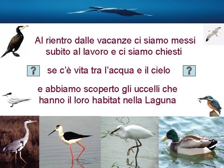 Al rientro dalle vacanze ci siamo messi subito al lavoro e ci siamo chiesti