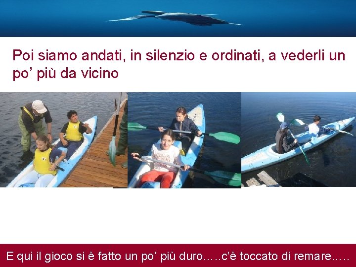 Poi siamo andati, in silenzio e ordinati, a vederli un po’SCIENTIFICHE più da vicino