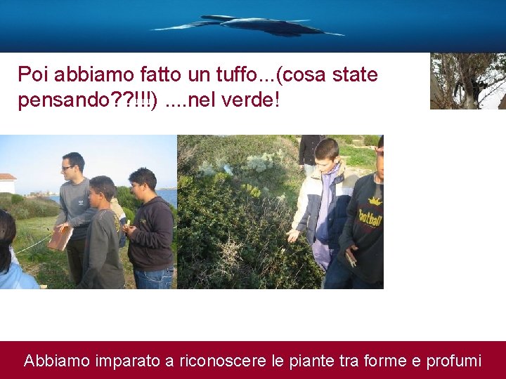 Poi abbiamo fatto un tuffo. . . (cosa state pensando? ? !!!). . nel