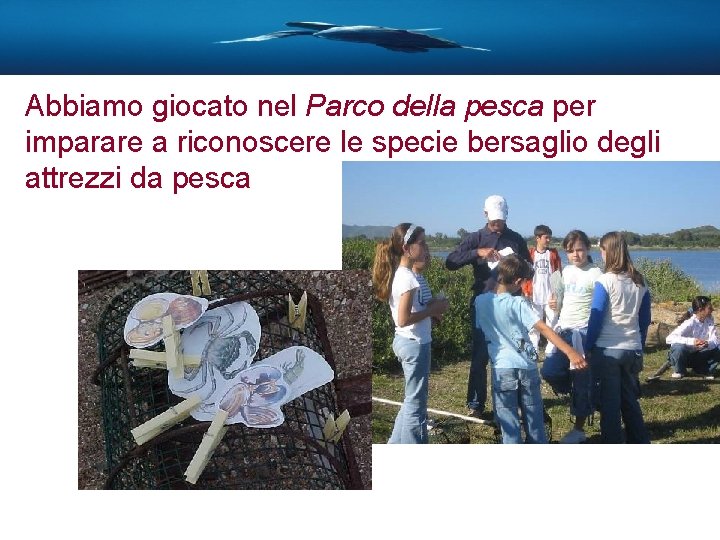 Abbiamo giocato nel Parco della pesca per imparare a riconoscere le specie bersaglio degli