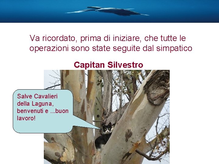 Va ricordato, prima di iniziare, che tutte le operazioni sono state seguite dal simpatico
