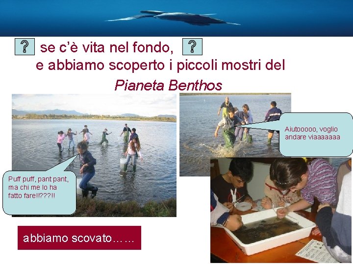 se c’è vita nel fondo, e abbiamo scoperto i piccoli mostri del Pianeta Benthos