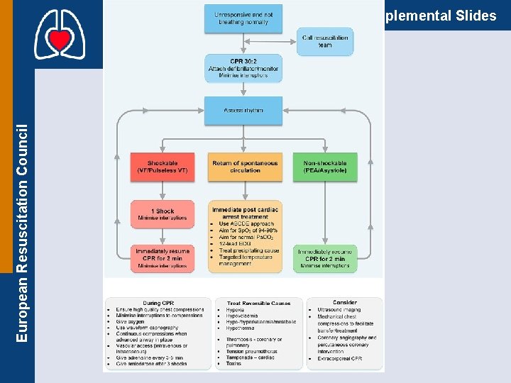 European Resuscitation Council Supplemental Slides 