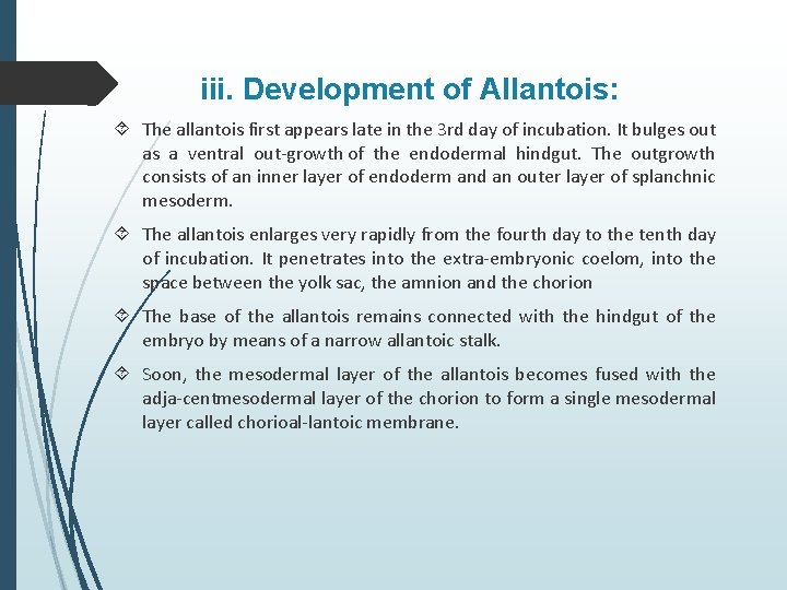 iii. Development of Allantois: The allantois first appears late in the 3 rd day