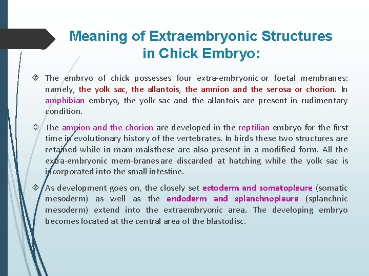 Meaning of Extraembryonic Structures in Chick Embryo: The embryo of chick possesses four extra