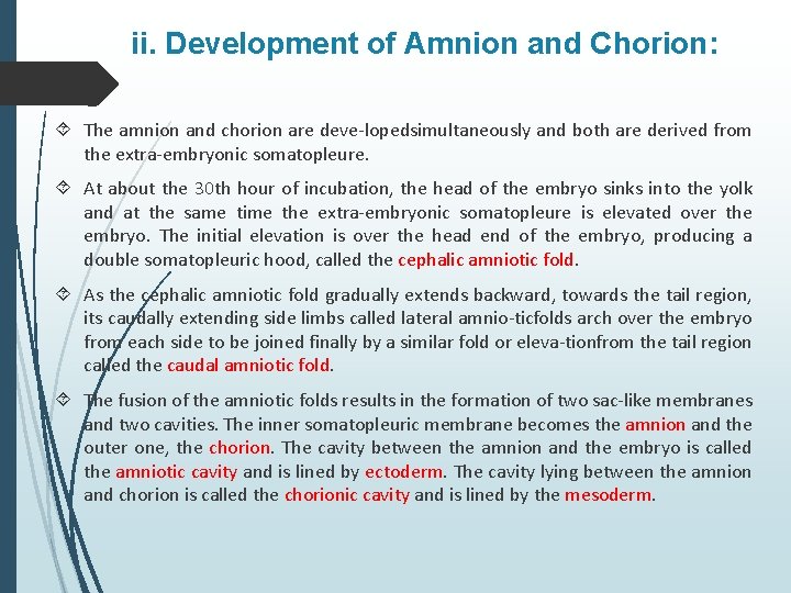 ii. Development of Amnion and Chorion: The amnion and chorion are deve loped simultaneously