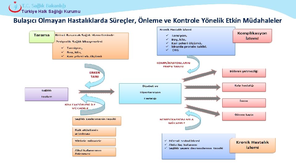 T. C. Sağlık Bakanlığı Türkiye Halk Sağlığı Kurumu Bulaşıcı Olmayan Hastalıklarda Süreçler, Önleme ve