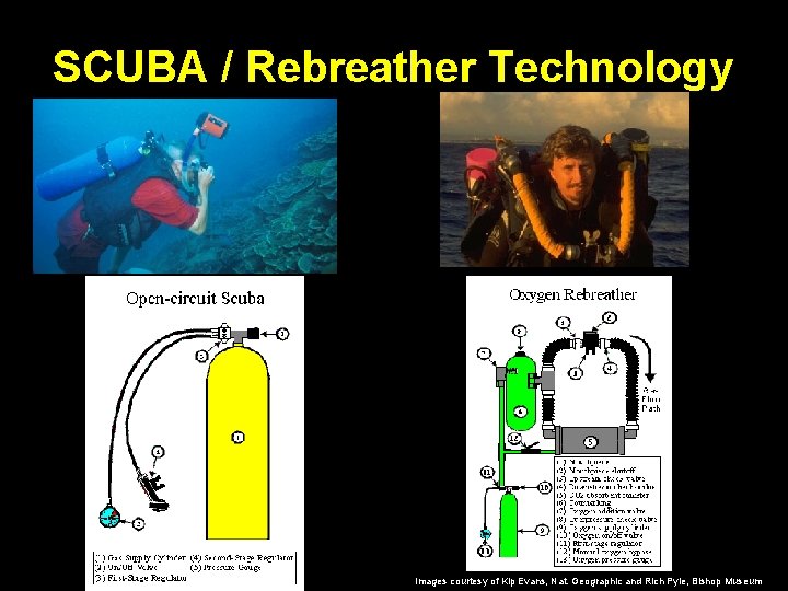 SCUBA / Rebreather Technology Images courtesy of Kip Evans, Nat. Geographic and Rich Pyle,