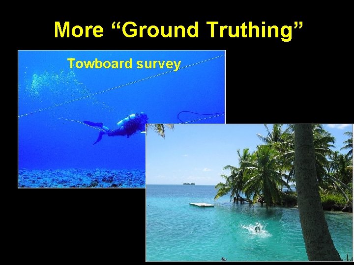 More “Ground Truthing” Towboard survey 