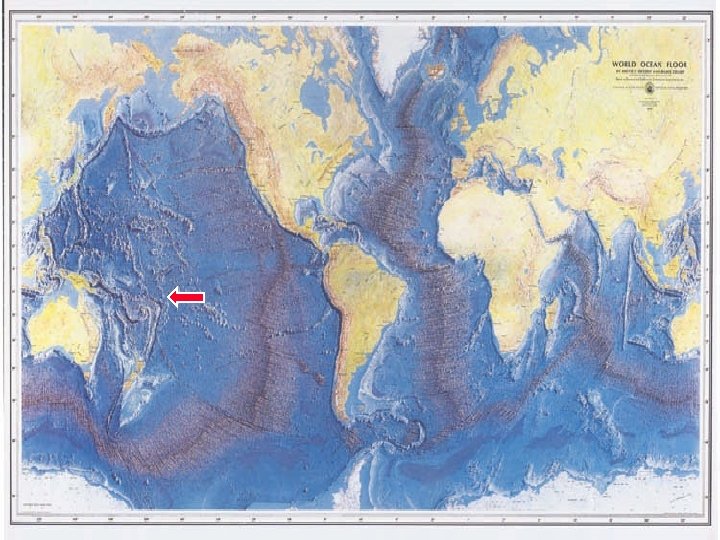 The World Ocean Floor 